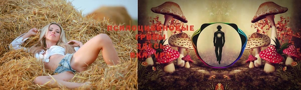 бошки Михайлов